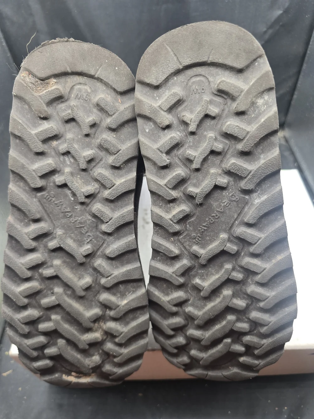 BearPaw classic tall